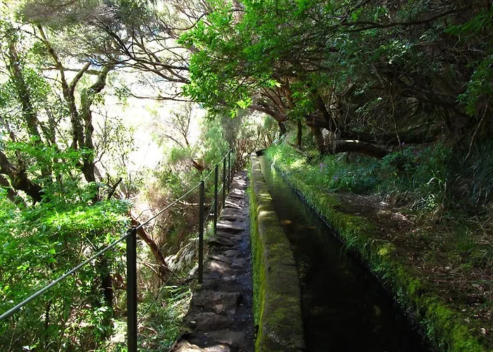 Apartamento Beautiful View 1 - - Ilha Da Madeira Arco da Calheta (Madeira)