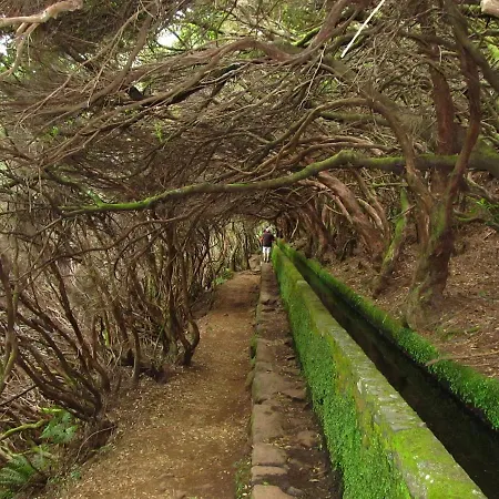 Beautiful View 1 - - Ilha Da Madeira アパート *