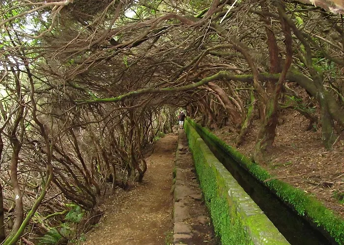 Beautiful View 1 - - Ilha Da Madeira Apartmán *